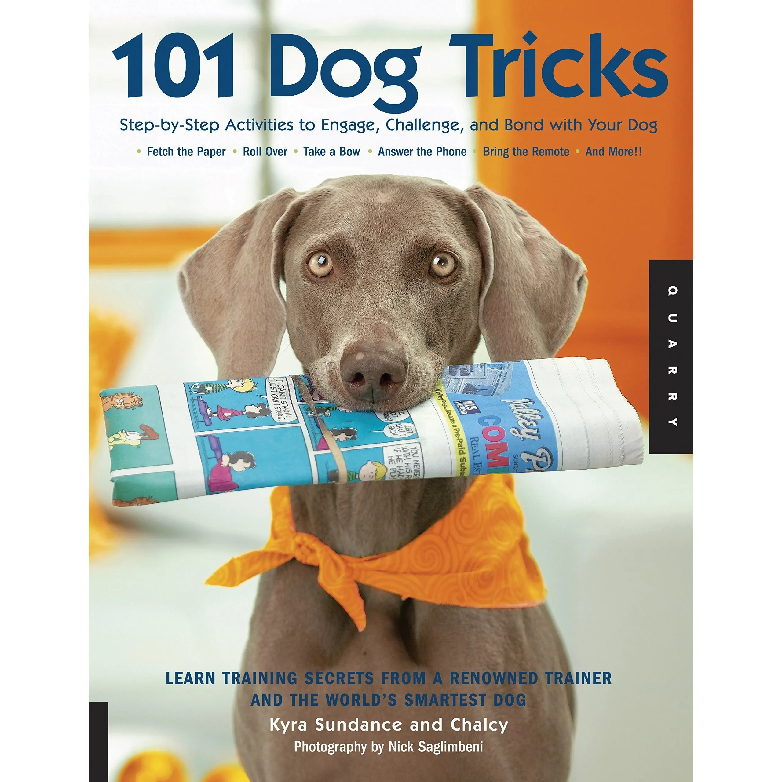 101 Dog Tricks, Happy Puppy Handbook And From Puppy To Perfect 3 Books Collection Set