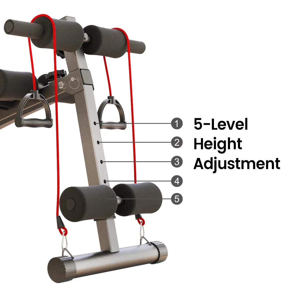 Adjustable Ab Workout Bench & Sit Up Bench