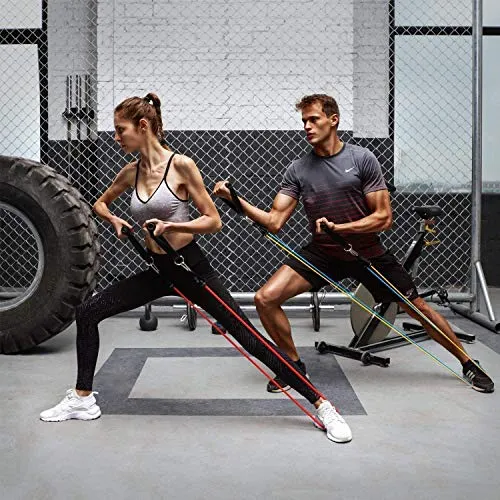 BLUMORA Exercise Bands Resistance Bands Set for Workingout Door Fitness Gym Resistance Bands Kit for Men Women Streching Rubber Bands (11PCS)