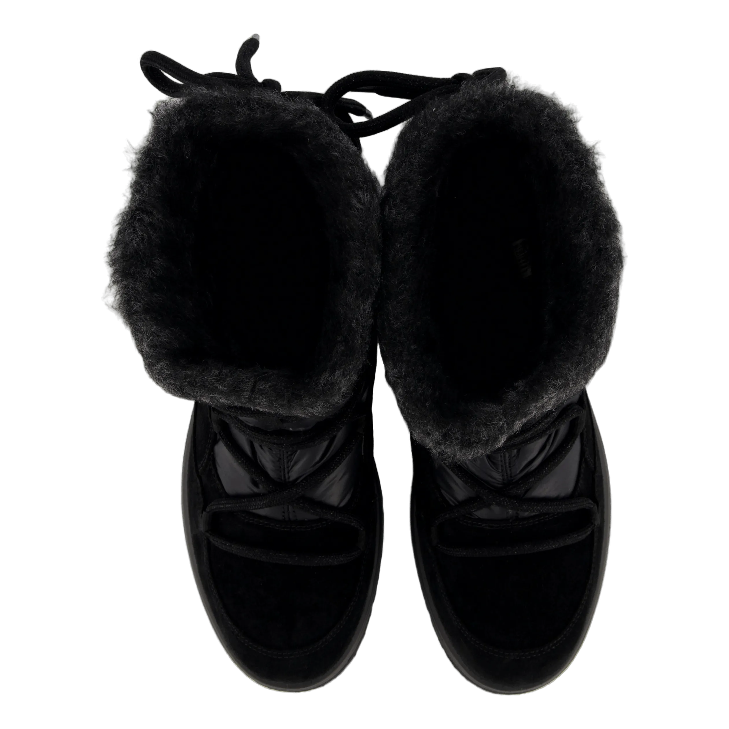 Campania Schwarz ( Schwarz)