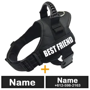 Comfortable Padded Dog Training Vest