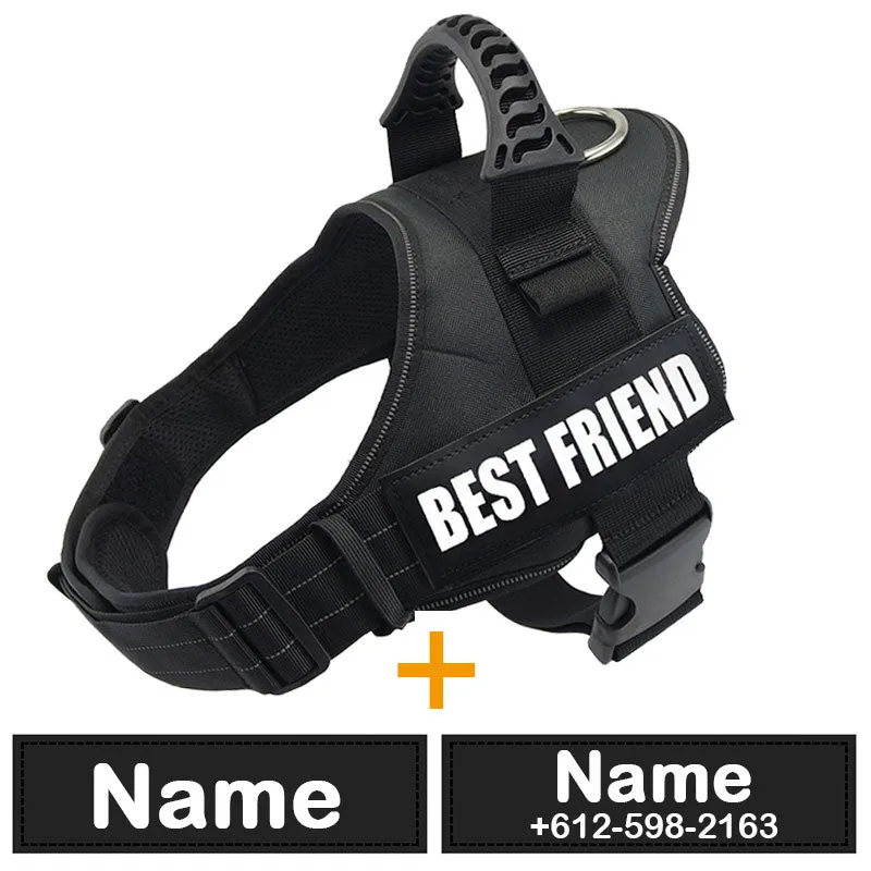 Comfortable Padded Dog Training Vest