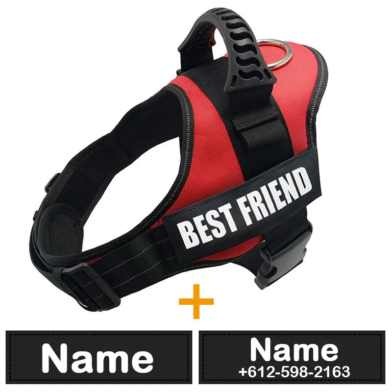 Comfortable Padded Dog Training Vest