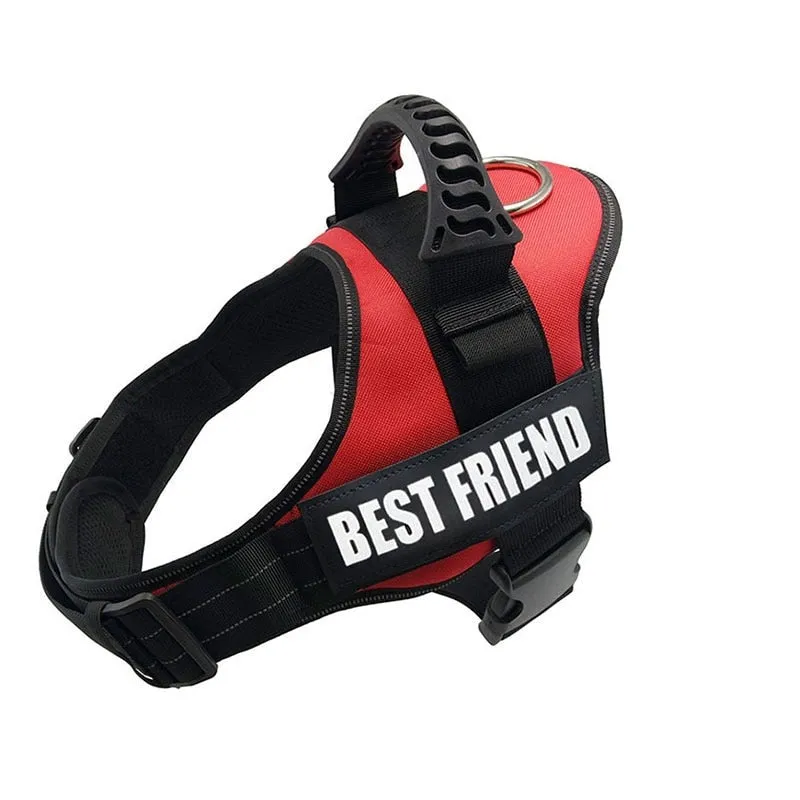 Comfortable Padded Dog Training Vest