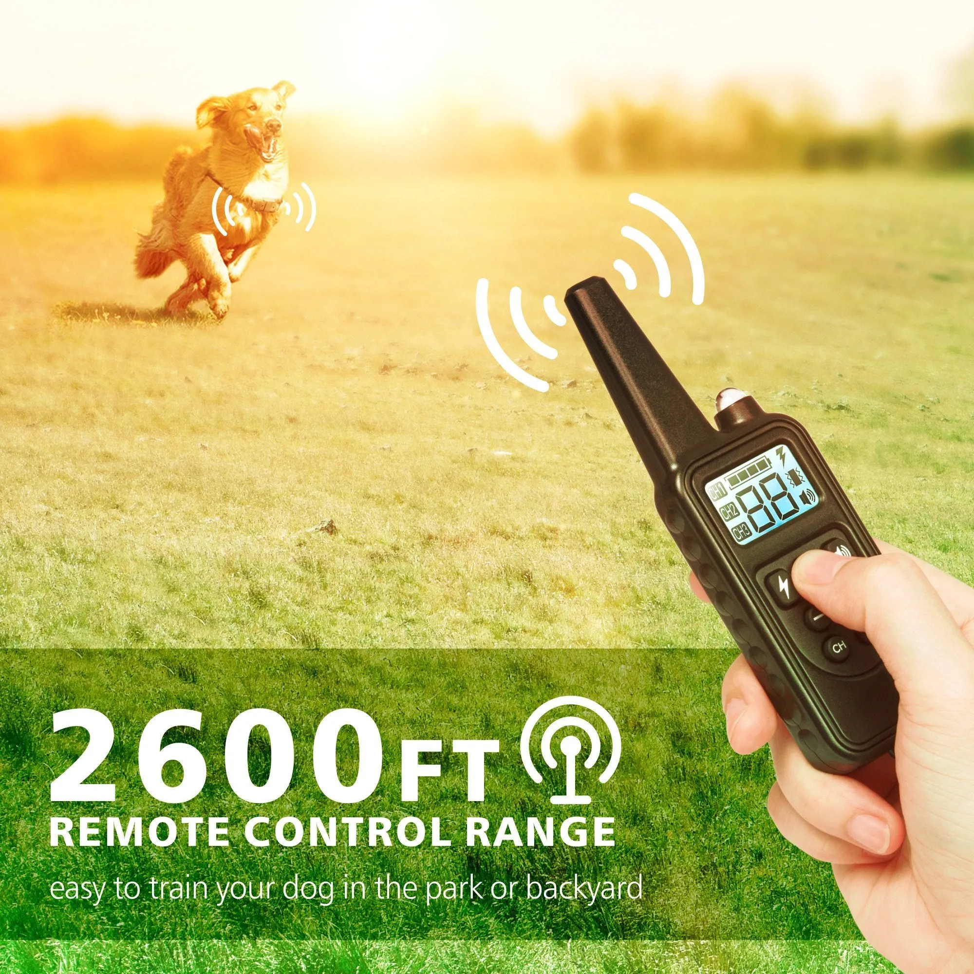 Haulpow-Rechargeable Dog Training Collar