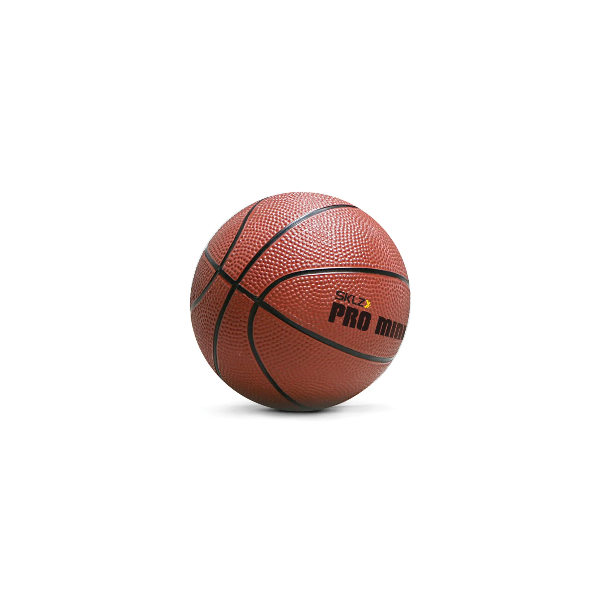 Pro Mini Hoop XL