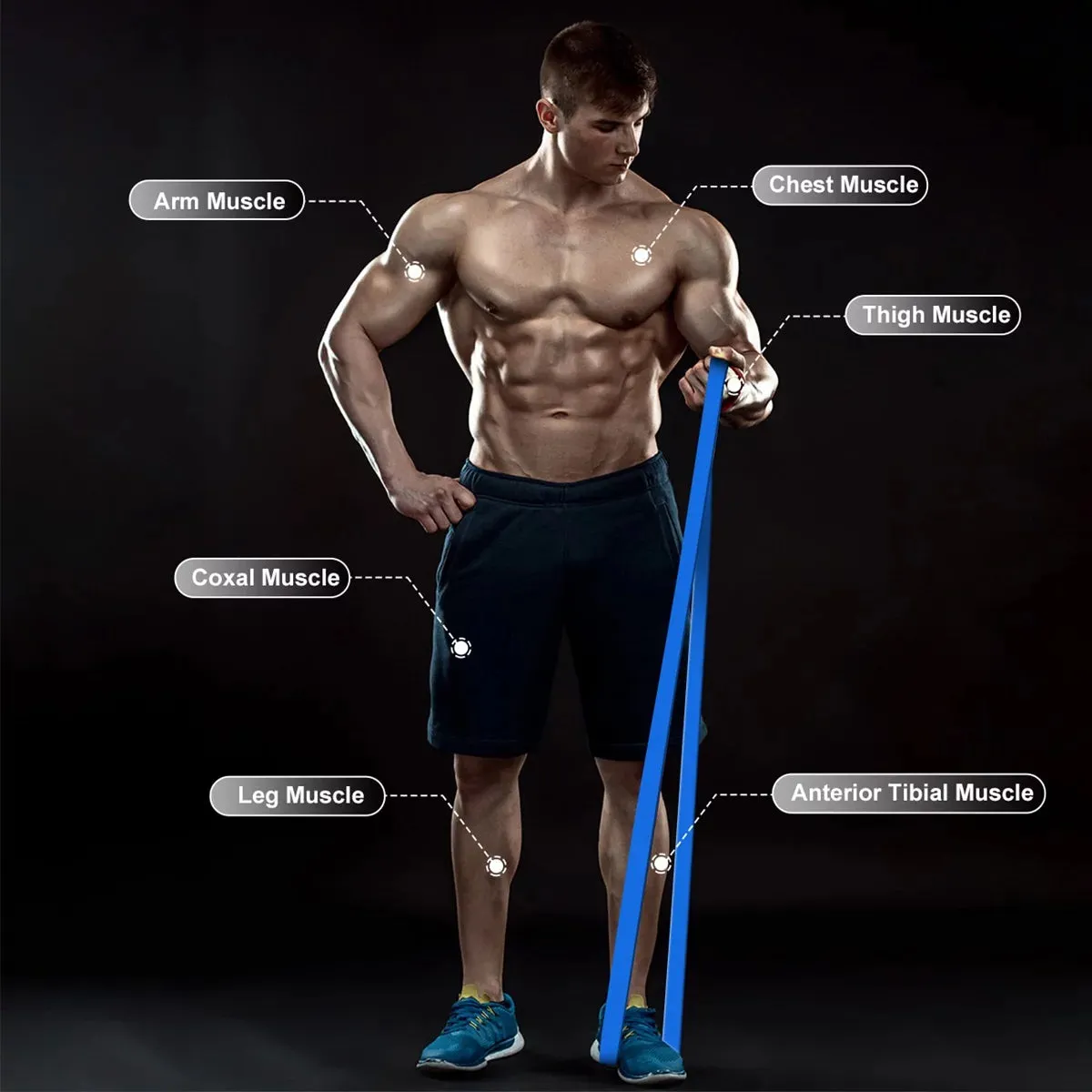 Pull Up Resistance Bands with Carry Bag (Set of 5)