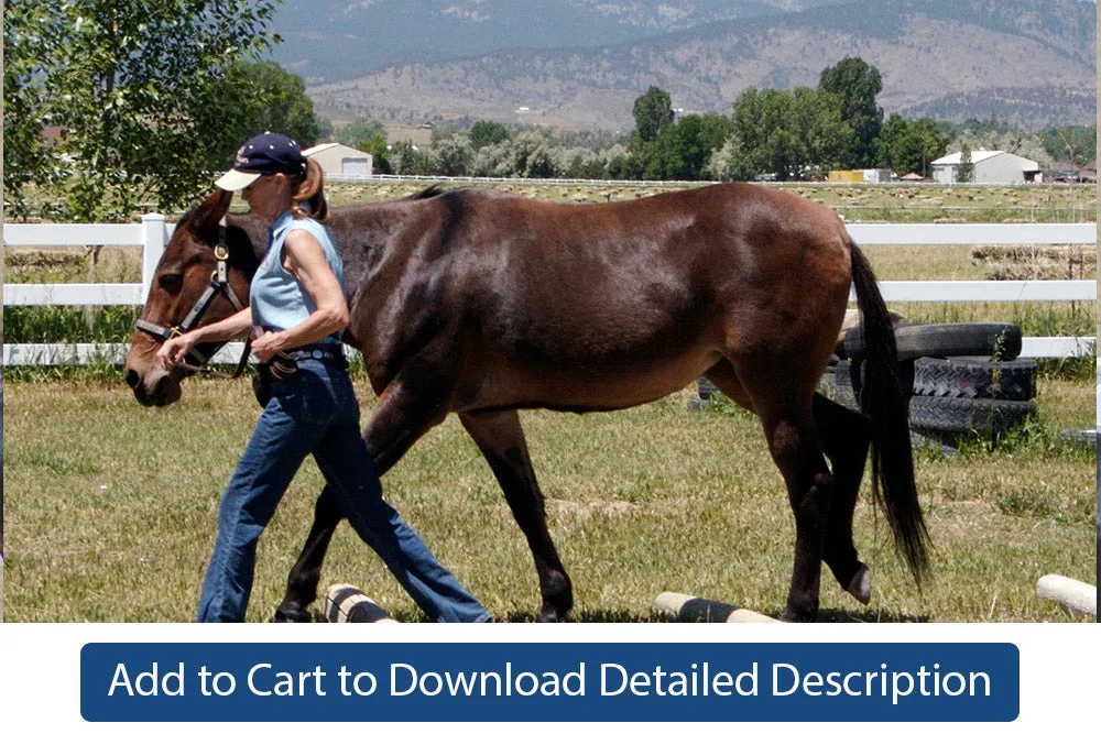 Training Tip - #044 Leading Straight Obstacles