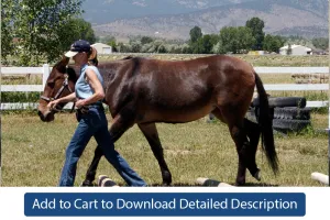 Training Tip - #044 Leading Straight Obstacles