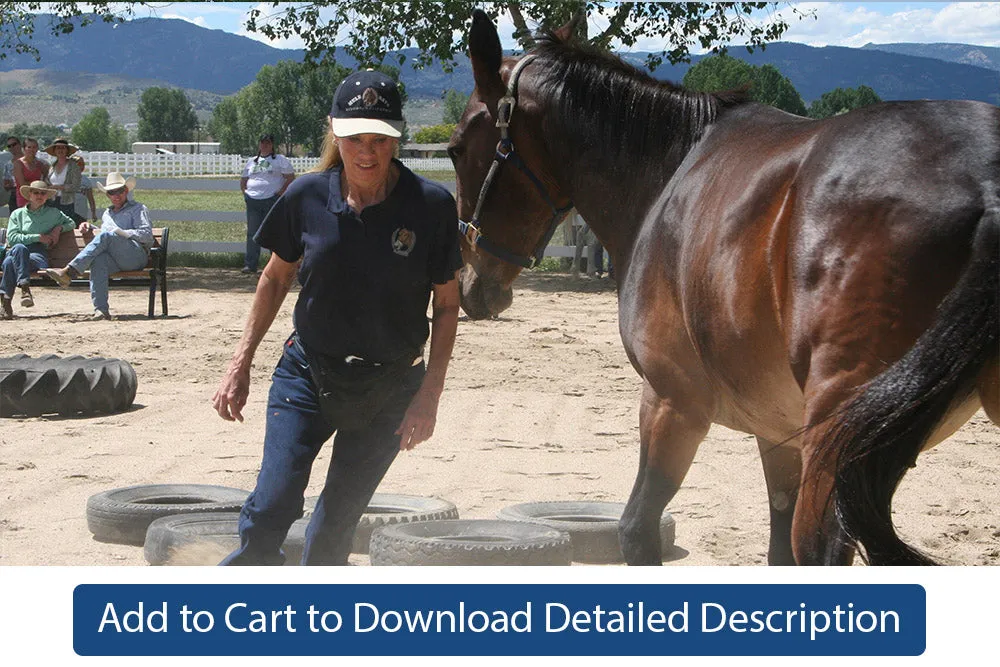 Training Tip - #048 Preparation for Lunging