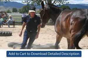 Training Tip - #048 Preparation for Lunging