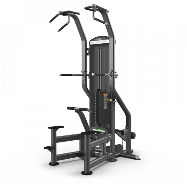 True Fuse-4000 Weight Assisted Chin Dip Machine