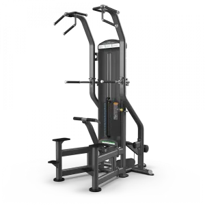 True Fuse-4000 Weight Assisted Chin Dip Machine